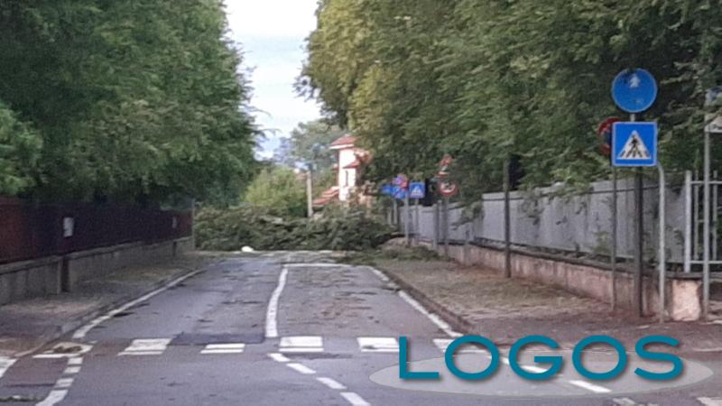 Eventi, Magenta, Energia & Ambiente