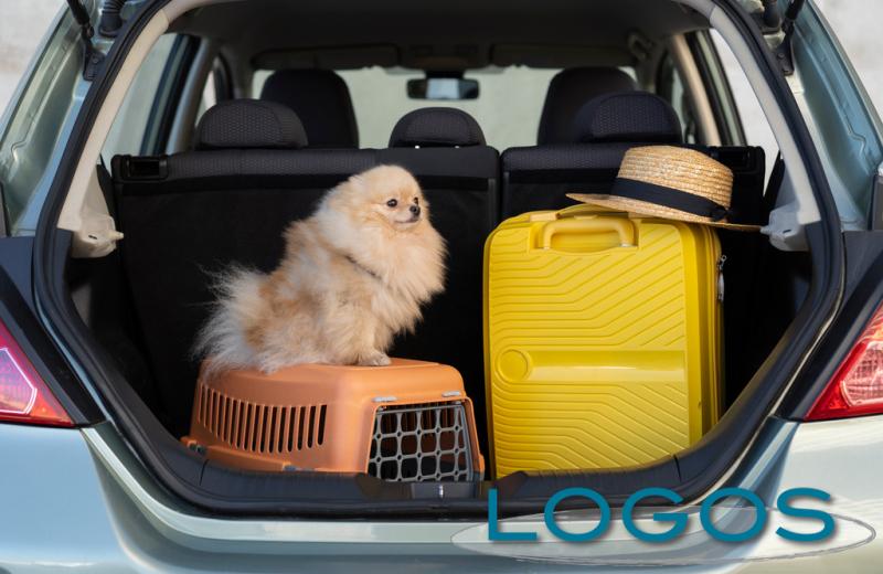 Viaggi, AnimaLogos