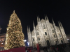 Milano - Albero di Natale in piazza Duomo