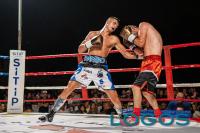 sport - boxeur Paparo sul ring