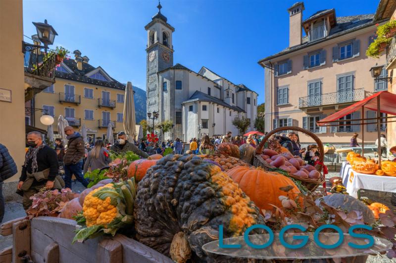 Santa Maria Maggiore - Fuori di Zucca 2022