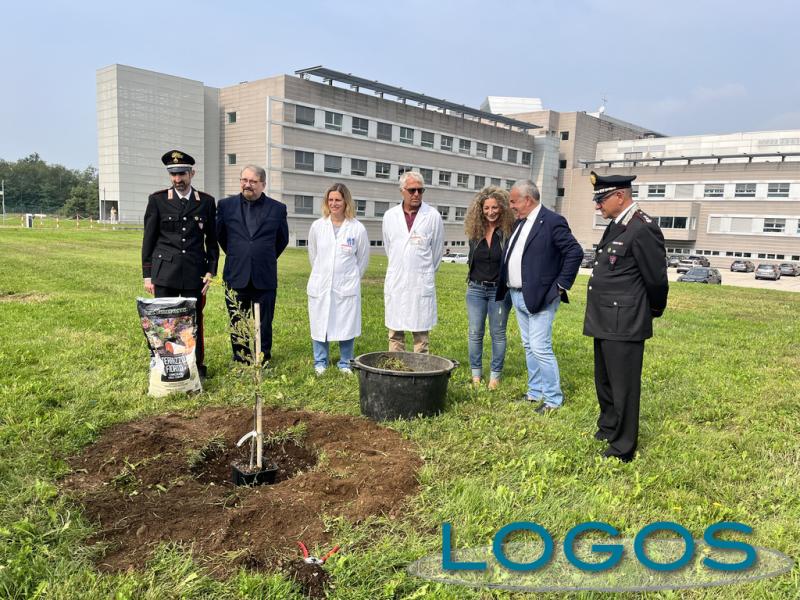 Legnano_un albero per la salute