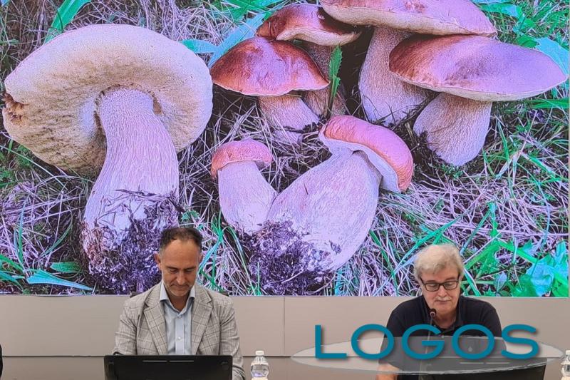 Milano - festival del fungo e del tartufo