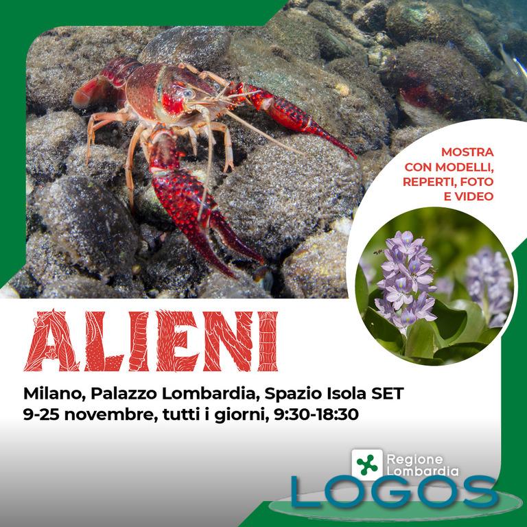 Eventi, Milano