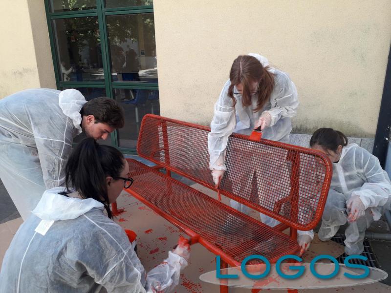 Sociale, Scuola, Castellanza