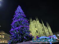 Milano_ albero di Natale in piazza duomo