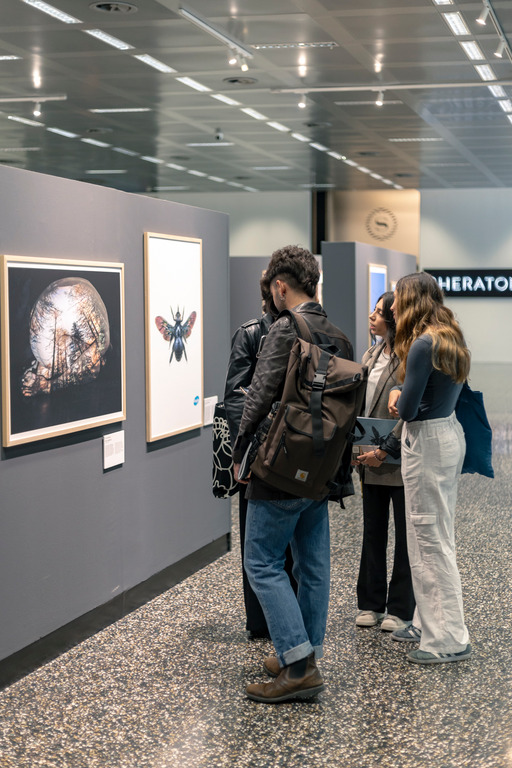 Cultura, Eventi, Malpensa