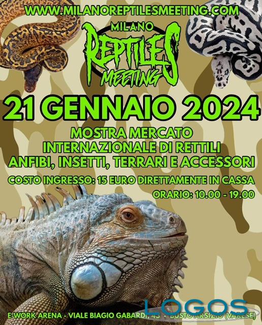 Busto Arsizio / Eventi - 'Milano Reptiles Meeting'