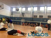 Sport - Sitting volley.3