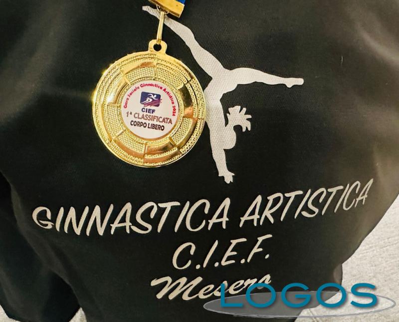 Mesero_ Ginnastica artistica CIEF