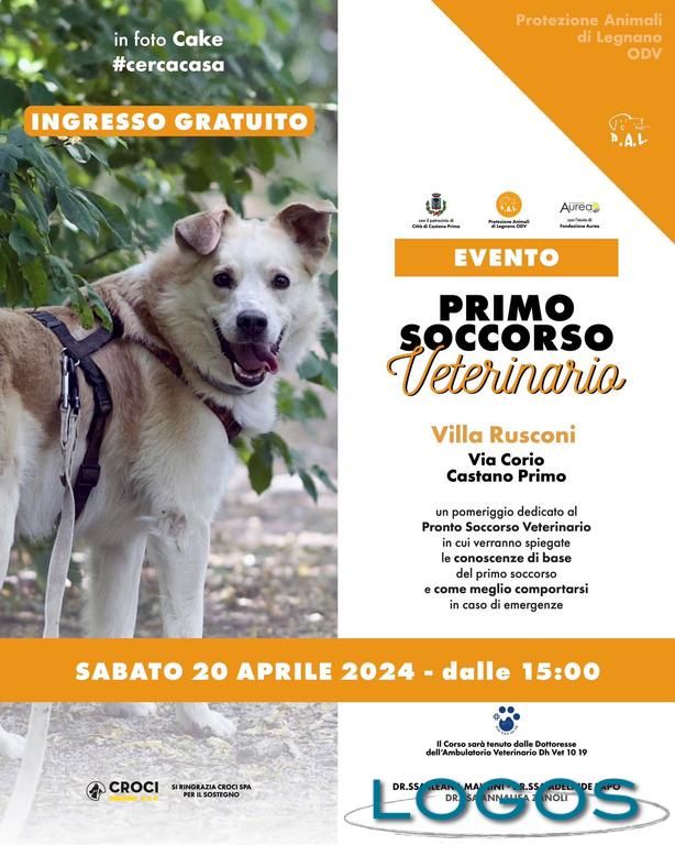 Castano / Eventi - 'Primo Soccorso Veterinario' 