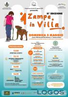 Castano / Eventi - '4 zampe in Villa' 