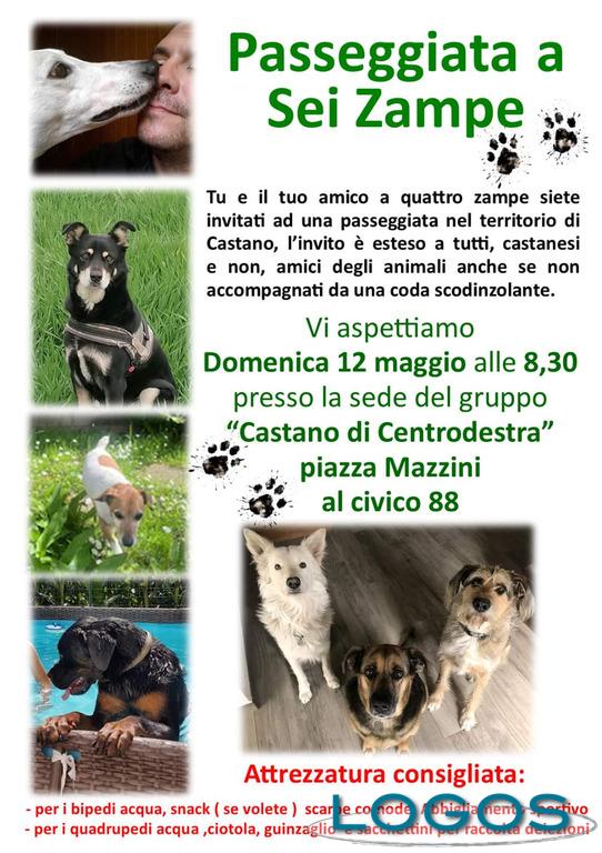 Castano / Eventi - 'Passeggiata a Sei Zampe' 