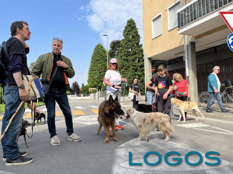 Castano / Eventi - Un momento della passeggiata 