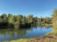 Territorio - Lanca del Parco del Ticino