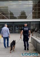 Territorio / Cronaca - Controlli di Polizia locale 