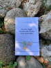 Immagine WhatsApp 2024-06-19 ore 12.09.52_eee9d274.jpg