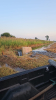 Territorio - Gli atti vandalici sul canale 