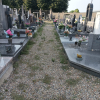 Cuggiono - Viale del cimitero, agosto 2024