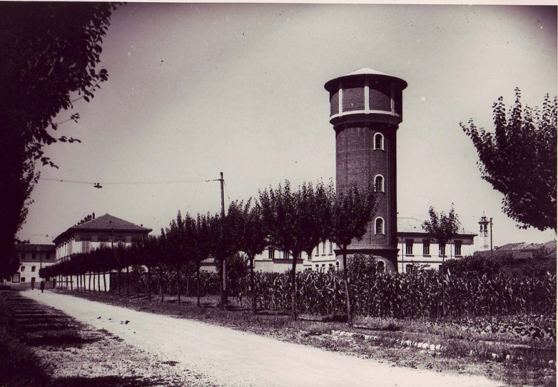 Cuggiono - Via Roma con gli alberi (Foto del Museo Storico Civico cuggionese)