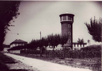 Cuggiono - Via Roma con gli alberi (Foto del Museo Storico Civico cuggionese)