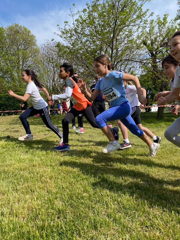 Sport locale, Magenta, Scuola