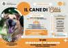 Castano / Eventi - 'Il cane di città' 