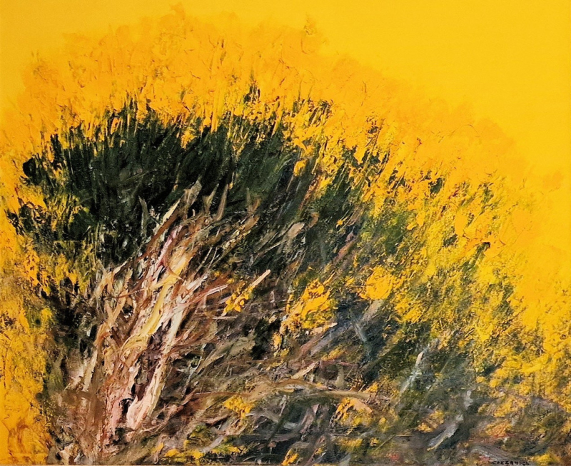 Ginestre - Giancarlo Cazzaniga