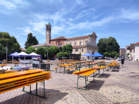 Bareggio - Preparativi Festa delle Ciliegie 