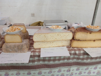 Sapori - La Scargàa di alp 2024