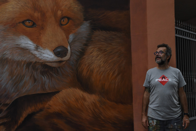 Cuggiono - La volpe in largo Europa