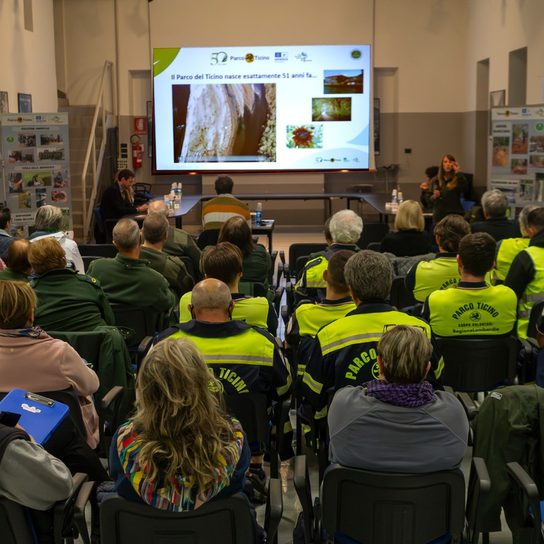 Vergiate - “Dialoghi al Crepuscolo”