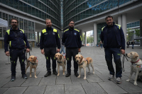 Territorio - Cani guida in Regione