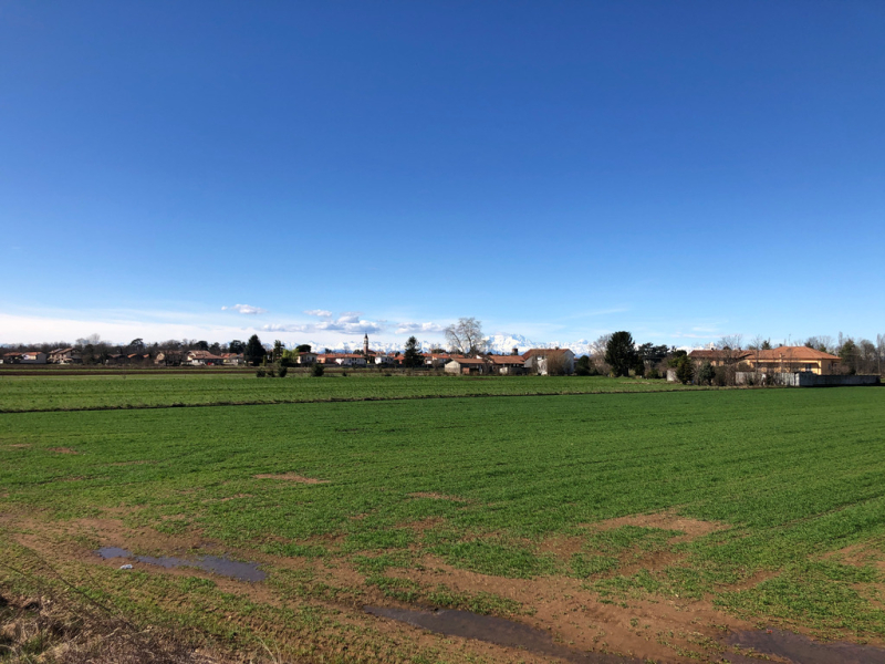 Ambiente - Campi e Cuggiono sullo sfondo