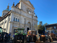 Magenta - Trattori per San Martino