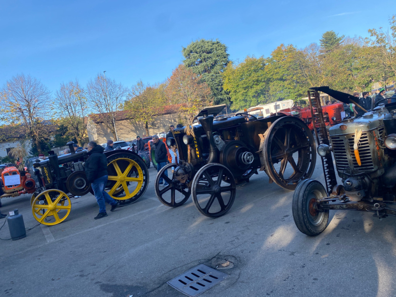 Inveruno - Trattori antichi a una Fiera di San Martino