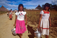 Cultura - Autonomia indigena