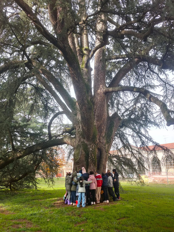 Cuggiono - Festa dell’Albero 2025