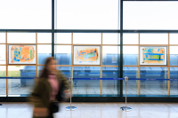 Malpensa - La mostra X-Ray-Me