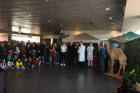 Legnano - Spettacolo 'L'arte che cura' 2025