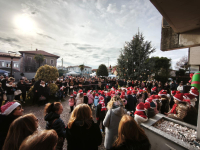 Busto Garolfo - Festa dell'Albero 2025