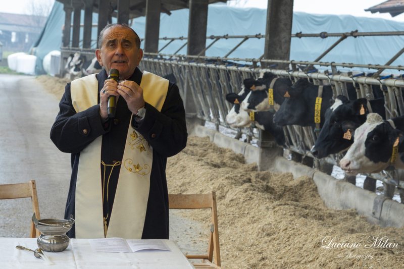Territorio - L'Arcivescovo Mario Delpini benedice gli animali della Pietrasanta