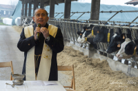 Territorio - L'Arcivescovo Mario Delpini benedice gli animali della Pietrasanta