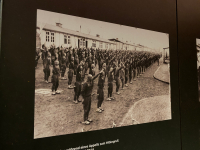 Sociale - Deportati a Mauthausen