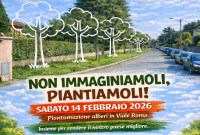 Cuggiono - Iniziativa per la piantumazione degli alberi in via Roma