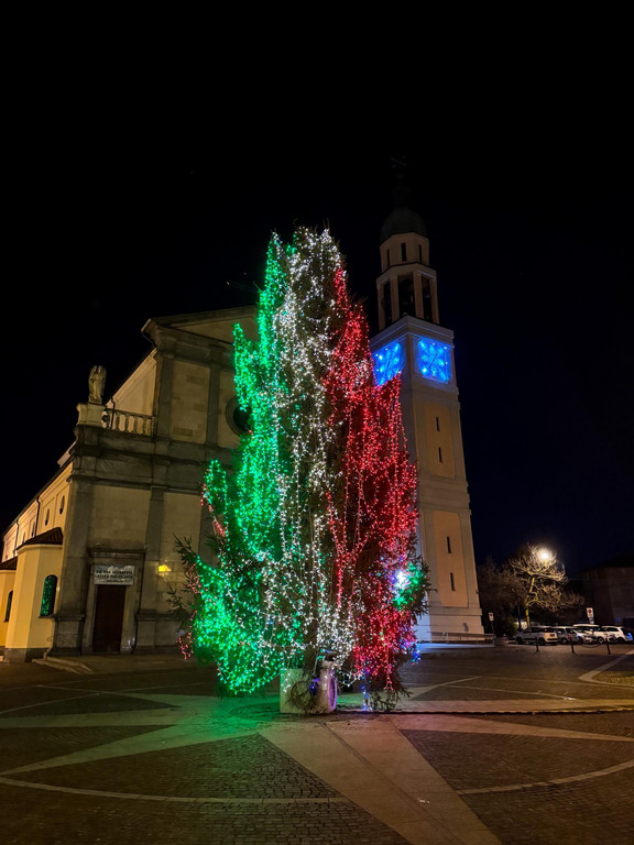 Arconate - Albero olimpico