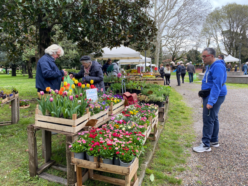 Inveruno - Un momento di vendita a Floribunda