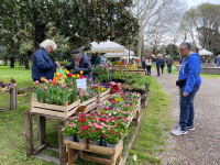 Inveruno - Un momento di vendita a Floribunda