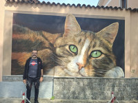 Cuggiono - Il gatto di Giulio Masieri