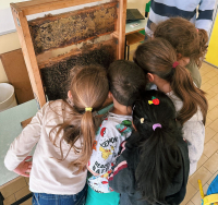 Castellanza - Green Week 2026